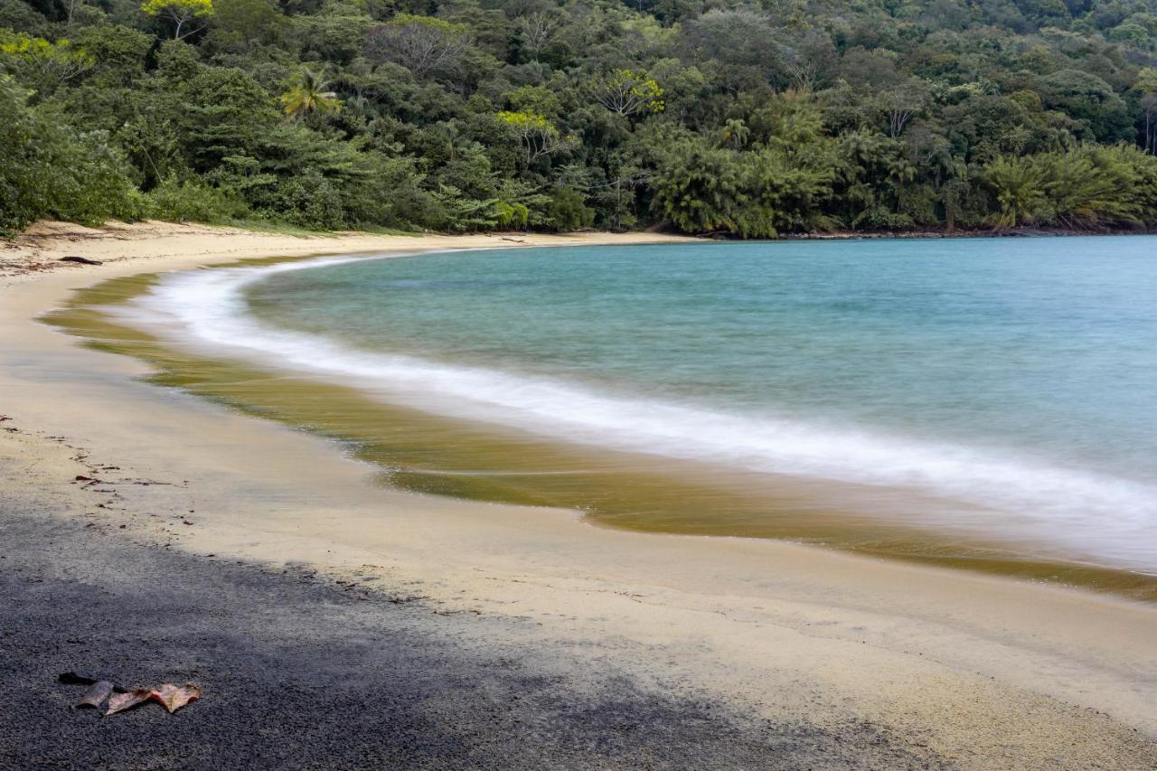 Fauna Praia do Bananal Экстерьер фото